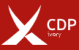 Cdp.cz