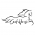 CoolHorse