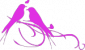 svatební web