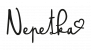 Logo obchodu Nepetka