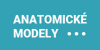 AnatomickéModely.cz