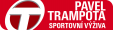 Logo PT Servis