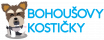 Bohoušovy kostičky