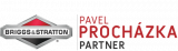 Briggs & Stratton