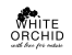 White Orchid