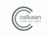 Callusan rapid 125 ml