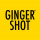Gingershot.cz Ginger Shot Premium 500ml 1ks
