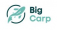 Logo Big Carp.cz