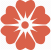 PETALS.CZ