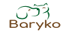 Baryko