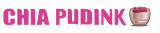 ChiaPudink.cz