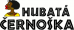 Logo Hubatá černoška