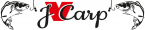 Logo JVCarp.cz