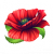 Logo obchodu Makový ráj