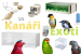 Kanáři - Exoti