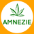 AMNEZIE