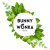 Bunny Wonka