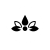 Cannavea