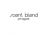 Scent Blend