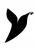 Syvela