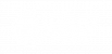 GRAY FOX