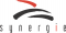 Logo Synergie Publishing