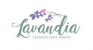 Lavandia s.r.o.