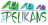 The Pelikans