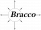 Logo Bracco