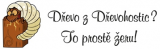 SINCINI