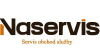 Naservis