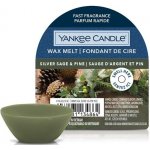 Yankee Candle vonný vosk Silver Sage & Pine Stříbrná šalvěj a borovice 22 g – Hledejceny.cz