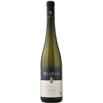 Weingut Allram Grüner Veltliner Ried Renner 1ÖTW 2023 Veltlínské zelené 1,6 g/l suché bílé 2023 13,5 % 0,75 l (holá láhev) – Hledejceny.cz