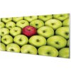 Obraz akrylový obraz Zelená a červená jablka 100x50 cm