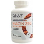 OstroVit Niacin 250 No flush vitamin B3 90 tablet – Hledejceny.cz