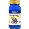 Doplněk stravy VitaHarmony Antioxidant New Formula 80 tablet