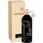 Montale Aqua Gold parfémovaná voda unisex 100 ml – Hledejceny.cz