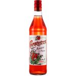 Dolin Chamberyzette a la Fraise 16% 0,75 l (holá láhev) – Zboží Dáma