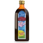 Serafin Stres & Vyčerpání Čajový koncentrát 250 ml – Hledejceny.cz