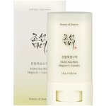 Beauty Of Joseon Matte Sun Stick Mugwort + Camelia opalovací krém v tyčince SPF50+ 18 g – Zboží Dáma