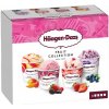 Zmrzlina Häagen-Dazs Variace zmrzlin s kousky makronek 4 x 95ml