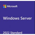 MICROSOFT Win Server CAL 2022 Cze 1pk 1Clt Dev CAL OEM R18-06428 – Zboží Živě