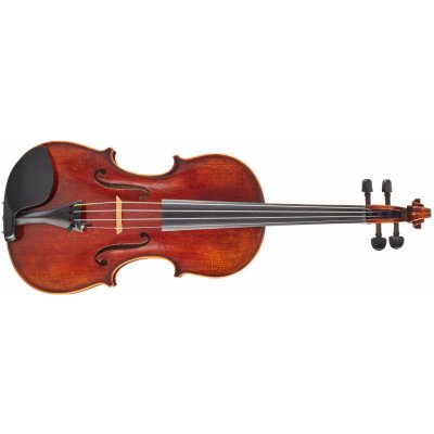 Eastman Rudoulf Doetsch Violin 4/4 VL701G – Zboží Dáma