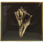 Robert Plant - Lullaby And the Ceaseless Roar CD – Hledejceny.cz