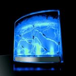 Mravenčí akvárium s podsvícením Ant Quarium Blue – HobbyKompas.cz
