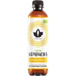 Puhdistamo Kombucha BIO 370 ml ginger lemon Bio Kombucha zázvor-citrón – Hledejceny.cz