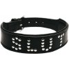 SM, BDSM, fetiš Studded Leather Slut Collar