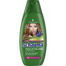 Schauma Push Up šampon 400 ml