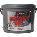 Mega Pro Nutrition Massive 1100 7264 g