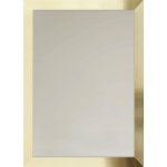 Ars Longa Slim 157,8x57,8 cm zlatá SLIM50150-ZS – Hledejceny.cz